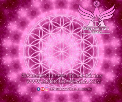 Events of our life ~ angelmandala